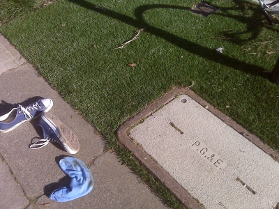 tricked by the turf...