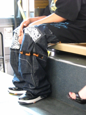 pant Observation