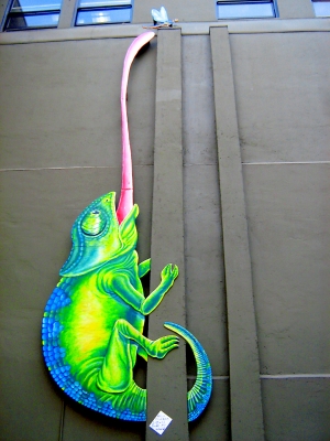 Hungry Lizard