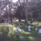 Presidio Pet Cemetery