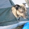 Poncho Nine Hundred Hours