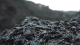 08.11.2008.20.59017.jpg