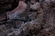 08.11.2008.21.03024.jpg