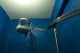 08.11.2008.21.09038.jpg