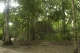 08.11.2008.21.11048.jpg