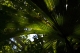 08.11.2008.21.18056.jpg