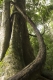 08.11.2008.21.19054.jpg