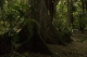 08.11.2008.21.19055.jpg