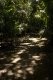 08.11.2008.21.25074.jpg