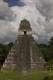 08.11.2008.21.25078.jpg