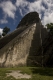 08.11.2008.21.25079.jpg