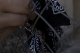 08.11.2008.21.33086.jpg