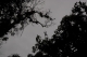 08.11.2008.21.40101.jpg