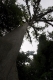 08.11.2008.21.40103.jpg