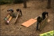 DHconstruction_033.jpg