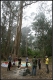 DHconstruction_001.jpg