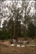DHconstruction_008.jpg