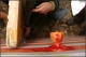 DHconstruction_015.jpg