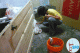 P1030067.gif