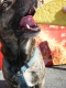Poncho_070402_2145.jpg