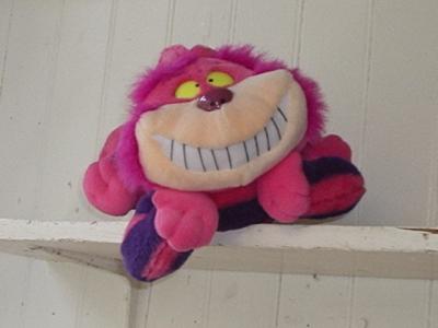 the chesire cat near dland