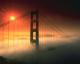 bay-bridge%20fog%20sun.jpg