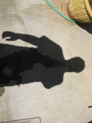 Shadow beard water