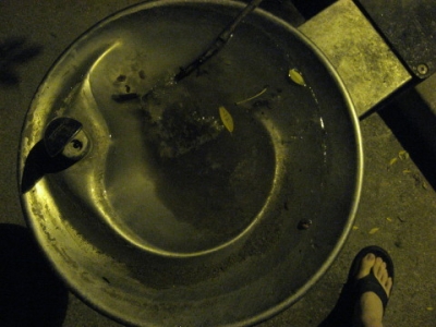 The fountain and my foot