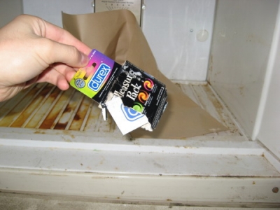 What's in the back of the freezer