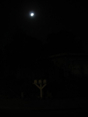 I heart alliteration.