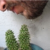 IntermezzoBeard