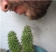 Beardwater nourishes cactus.