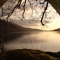 Good Pic