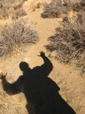 Looming over Joshua Tree