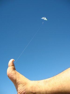 C.M. finds a kite.