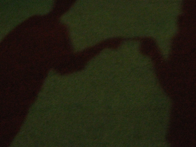 The shadow is us.