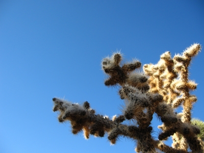 extry credit haiku #2