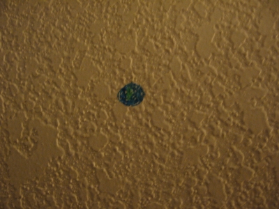 Is this Earth?