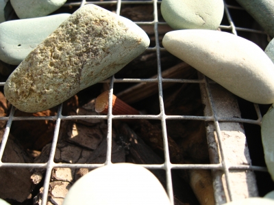 Rocks on grates Rocks on grates