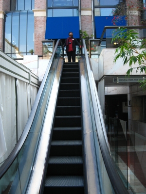 The Senator descends