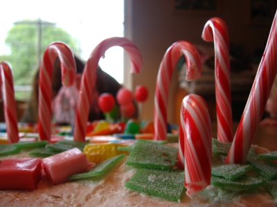 Candy Cane Forest