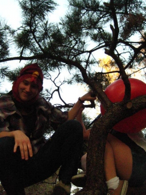 Why are Walrus & Pamda in a tree?