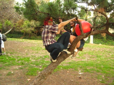 Walrus & Pamda are in a tree because they are playing Calvinball!