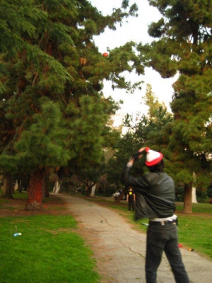 Throw balls until it breaks free!