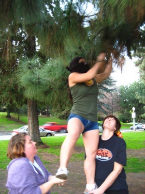 We'll even try to climb the tree.