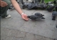 hi five 19.JPG