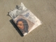 The paper
