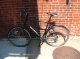 My Marin