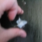 pic 10.jpg