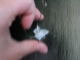 pic 10.jpg